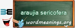 WordMeaning blackboard for araujia sericofera